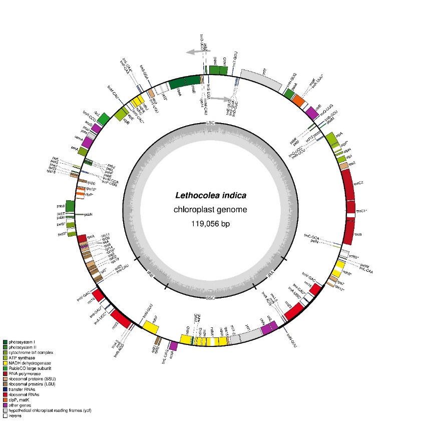 图片7.jpg 图片7.jpg